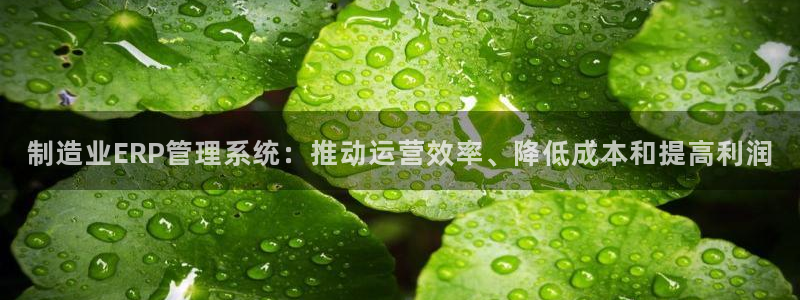 彩神大发云：制造业ERP管理系统：推动运营效率、降低成本和提高利润