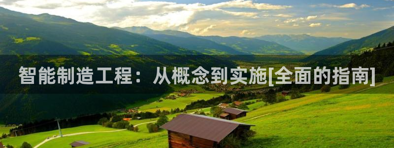 彩神到底能不能赚钱：智能制造工程：从概念到实施[全面的指南]