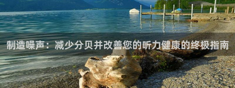 彩神8是正规平台吗是正品吗：制造噪声：减少分贝并改善您的听力健康的终极指南