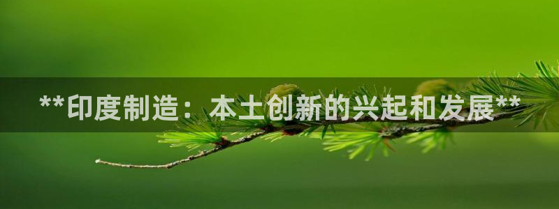 彩神v8下载app：**印度制造：本土创新的兴起和发展**