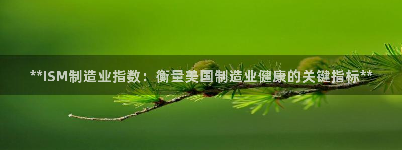 彩神app赚钱是真是假：**ISM制造业指数：衡量美国制造业健康的关键指标**