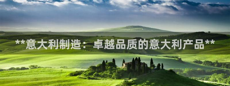 彩神V官网：**意大利制造：卓越品质的意大利产品**