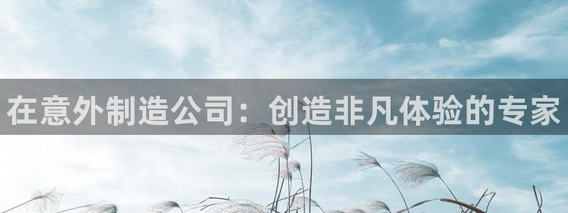 彩神8是正规平台吗知乎：在意外制造公司：创造非凡体验的专家