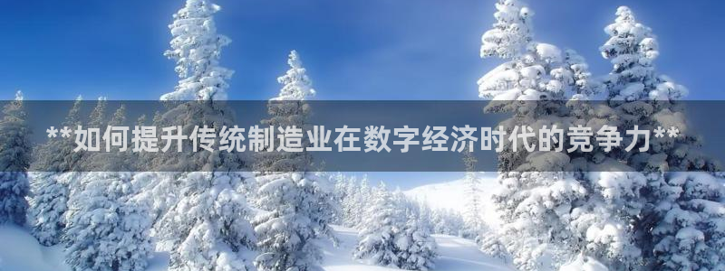 彩神vi官网版