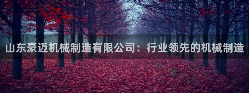 彩神app能挣到钱吗：山东豪迈机械制造有限公司：行业领先的机