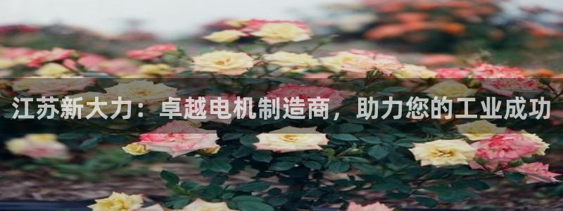 彩神v8下载app5.0：江苏新大力：卓越电机制造商，助力您