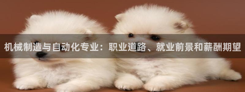彩神网能赚钱是怎么回事：机械制造与自动化专业：职业道路、就业