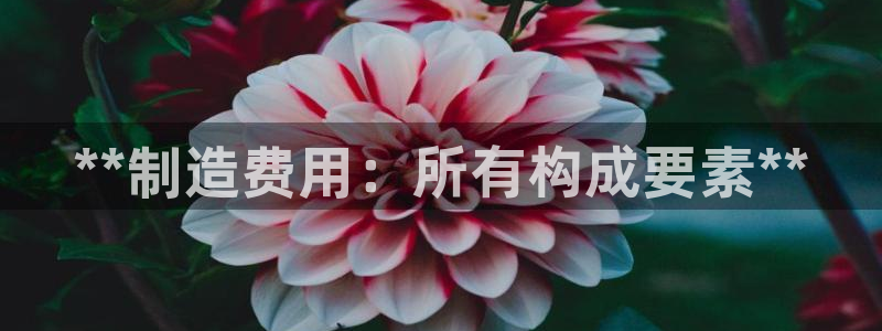 彩神争霸官方下载2017
