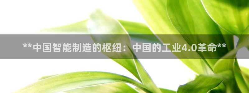 彩神ⅴll用户登录：**中国智能制造的枢纽：中国的工业4.0革命**