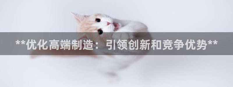 彩神vi争霸官网：**优化高端制造：引领创新和竞争优势**