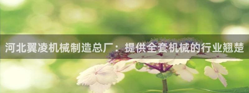 彩神ix是真的吗