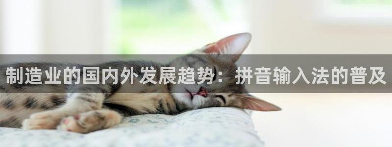 彩神V官网
