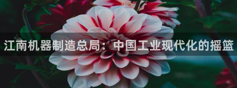 新版彩神v8登录不了：江南机器制造总局：中国工业现代化的摇篮
