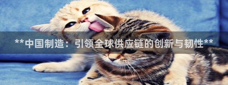 彩神v8平台正规吗知乎