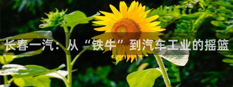 彩神 好 平台：长春一汽：从“铁牛”到汽车工业的摇篮