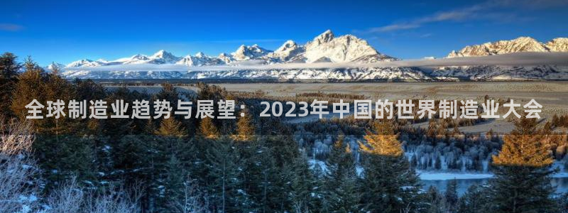 所有彩神购买首页都一样吗：全球制造业趋势与展望：2023年中国的世界制造业大会