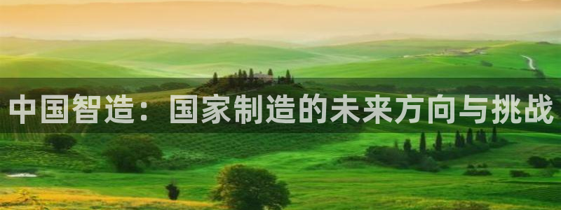 彩神v争霸有限公司：中国智造：国家制造的未来方向与挑战