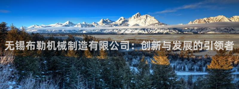 彩神赢钱了吗是真的吗：无锡布勒机械制造有限公司：创新与发展的引领者