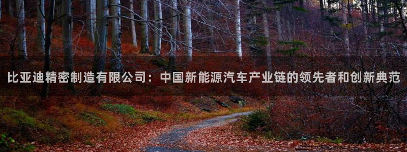 彩神赢的钱是哪里来的：比亚迪精密制造有限公司：中国新能源汽车产业链的领先者和创新典范