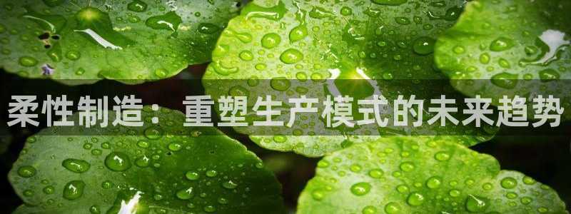 彩神数码科技有限公司