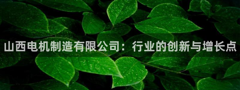 彩神v8手机客户端怎么下载