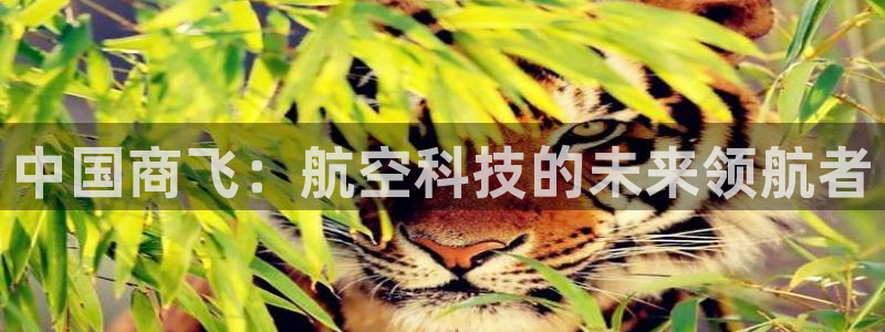 彩神v争霸有限公司