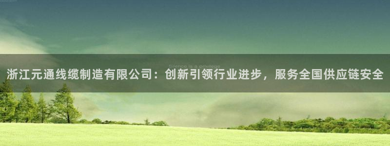 彩神app赚钱是真是假：浙江元通线缆制造有限公司：创新引领行
