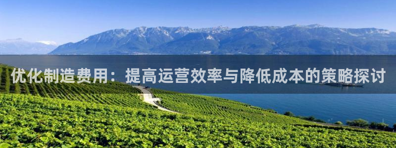 彩神Vll：优化制造费用：提高运营效率与降低成本的策略探讨