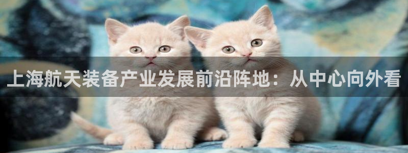 新版彩神v8登录不了：上海航天装备产业发展前沿阵地：从中心向外看