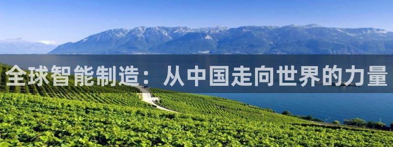 所有彩神购买首页都一样吗：全球智能制造：从中国走向世界的力量