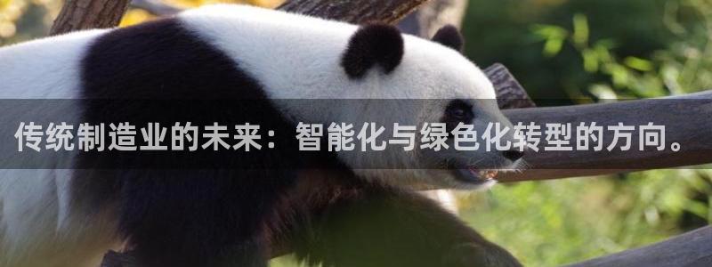 彩神Vll购彩大厅：传统制造业的未来：智能化与绿色化转型的方