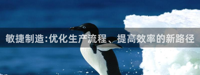 彩神vll购彩大厅：敏捷制造:优化生产流程、提高效率的新路径