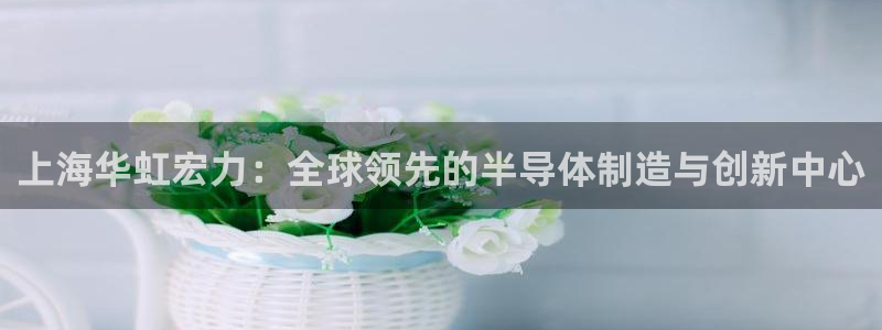 彩神v8平台正规吗安全吗：上海华虹宏力：全球领先的半导体制造与创新中心