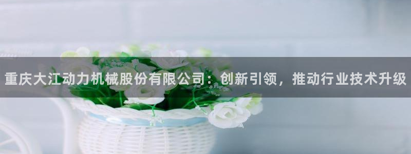 彩神v：重庆大江动力机械股份有限公司：创新引领，推动行业技术升级