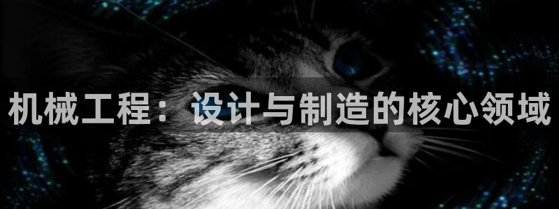 彩神8官网版是正规的吗