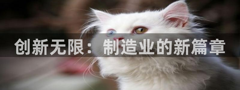 彩神ix官网是哪个公司的：创新无限：制造业的新篇章