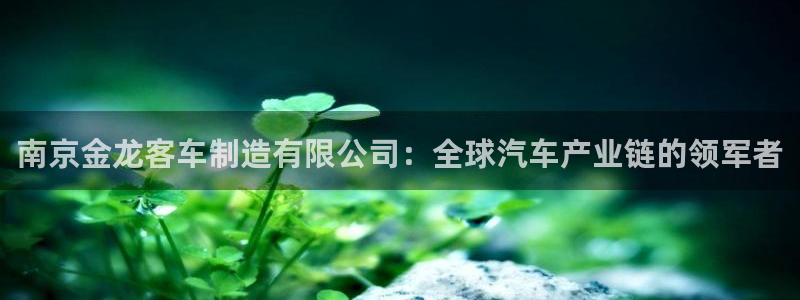 彩神8是正规平台吗安全吗