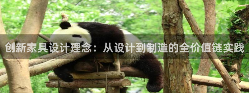 彩神VI首页