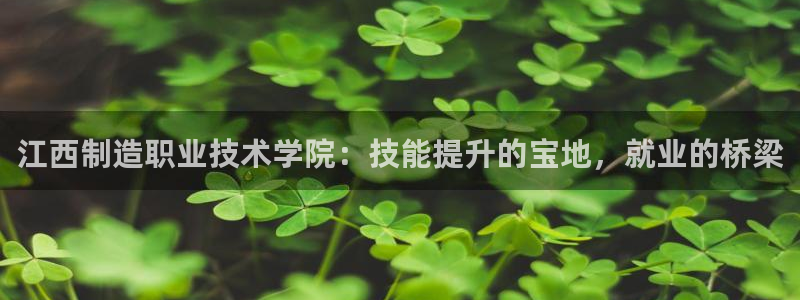 彩神v彩搜狗
