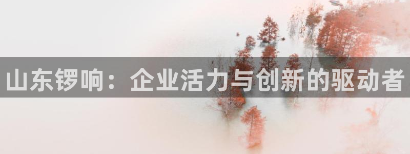 彩神velcome购彩大厅：山东锣响：企业活力与创新的驱动者