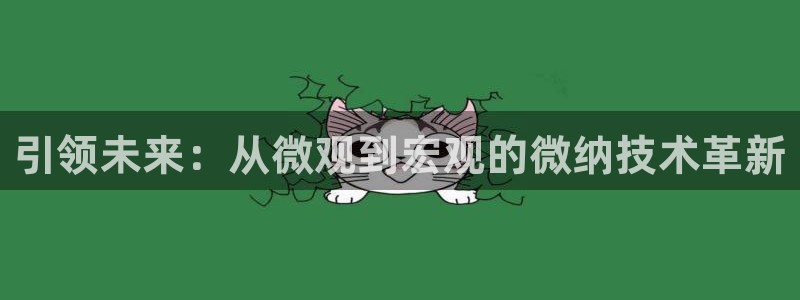 彩神网合法吗：引领未来：从微观到宏观的微纳技术革新