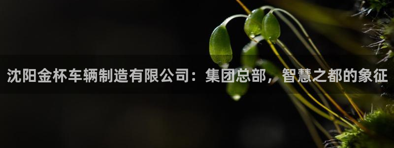 彩神8彩平台官网：沈阳金杯车辆制造有限公司：集团总部，智慧之都的象征