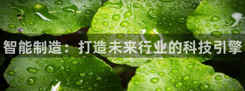 彩神vlll官方网：智能制造：打造未来行业的科技引擎