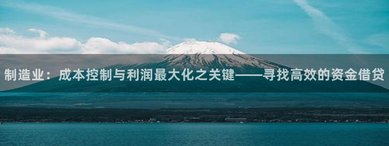 彩神v8iii：制造业：成本控制与利润最大化之关键——寻找高效的资金借贷