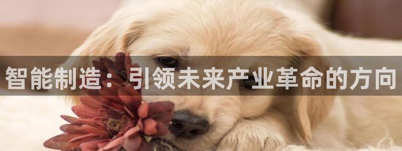 彩神8彩平台：智能制造：引领未来产业革命的方向