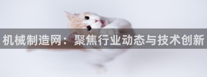 彩神v8平台正规吗安全吗