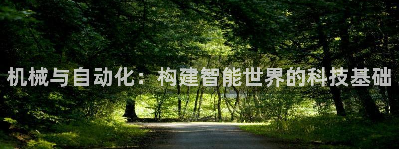 彩神V购彩大厅