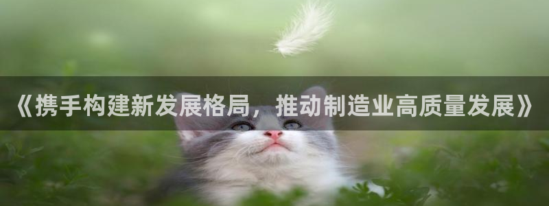 彩神VII官方版