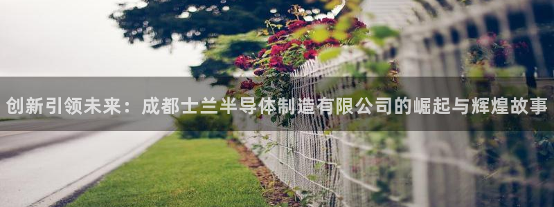 彩神大发cp