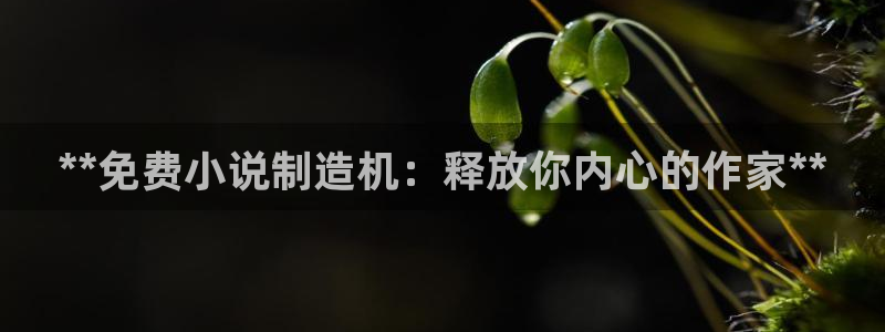 在彩神网输了六万多怎么拿回来：**免费小说制造机：释放你内心的作家**